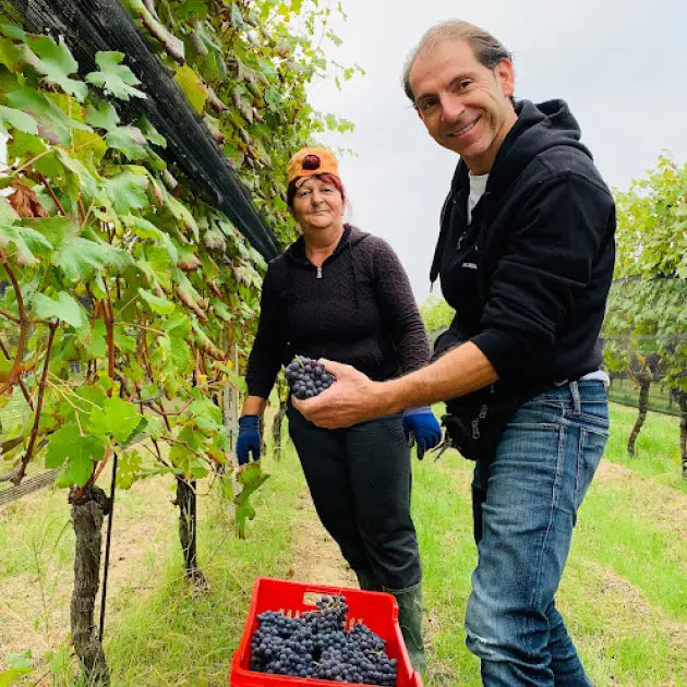 Weingut