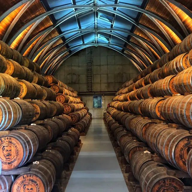 Weingut