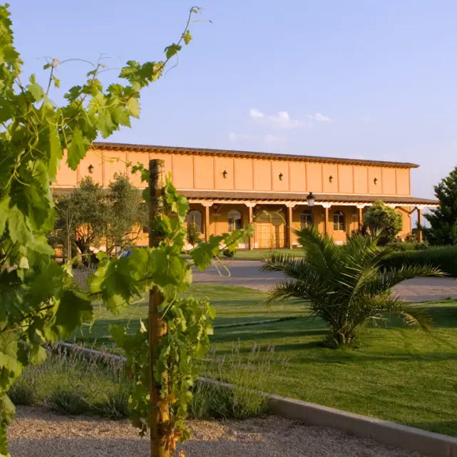 Weingut