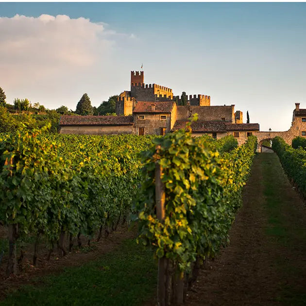 Weingut