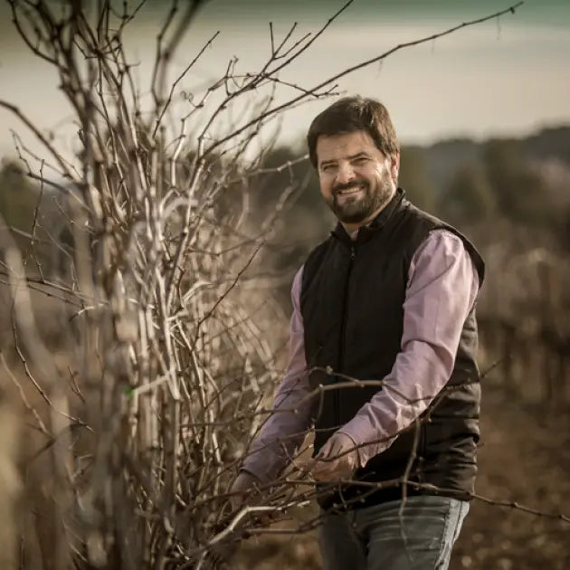 Weingut
