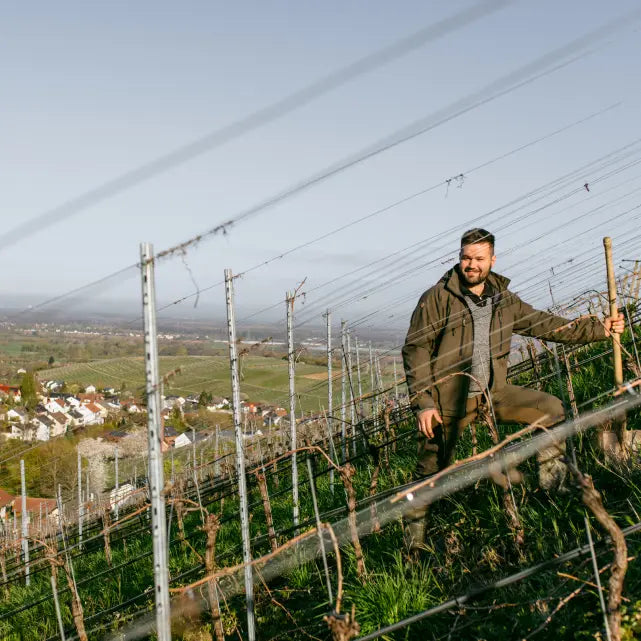 Weingut