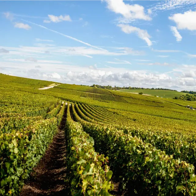 Weingut