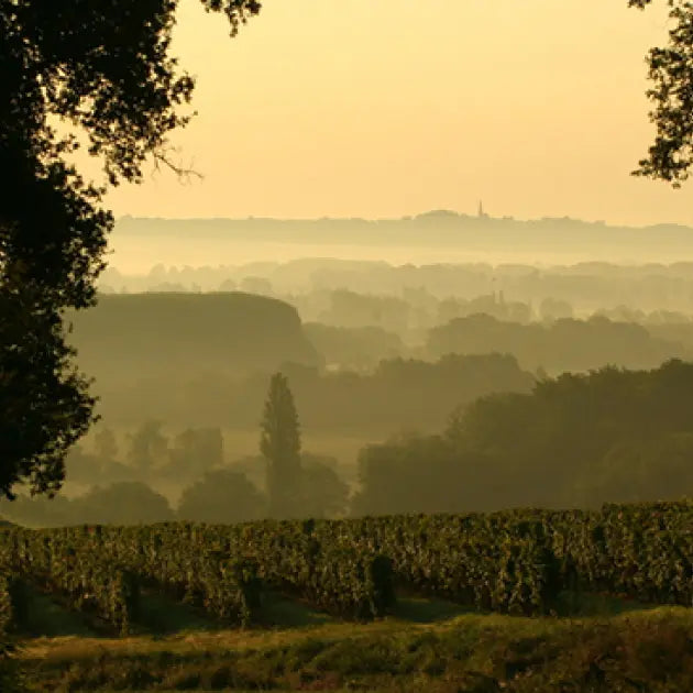 Weingut