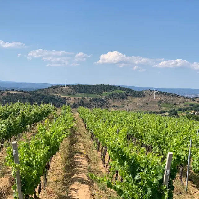 Weingut