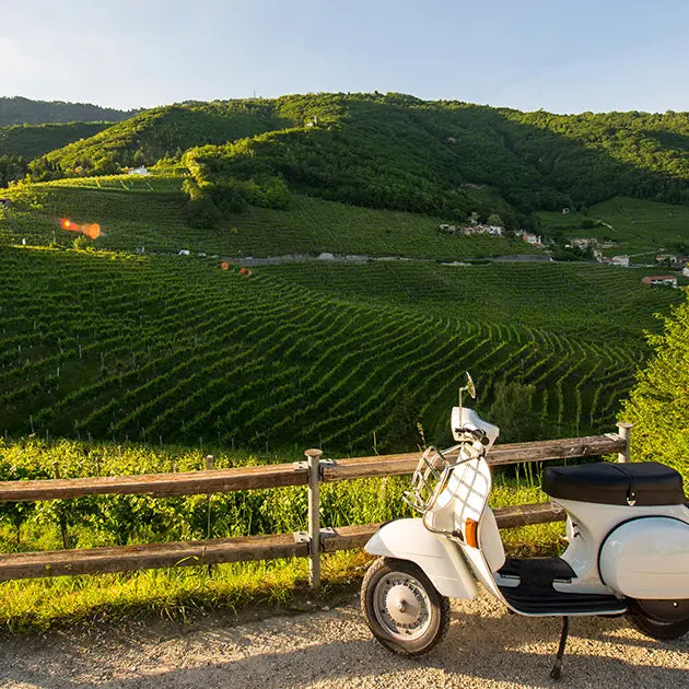 Weingut