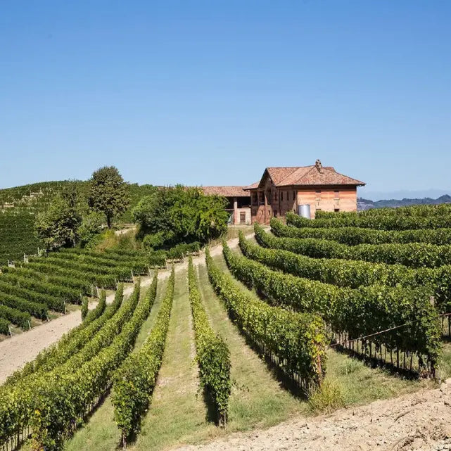 Weingut