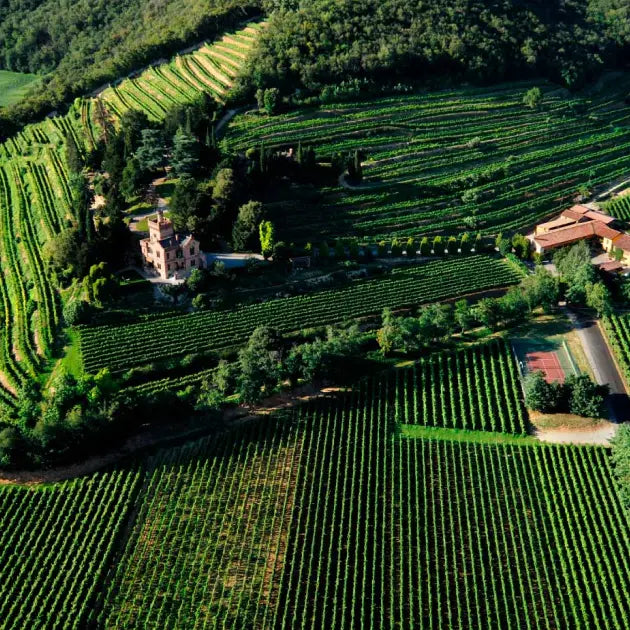 Weingut