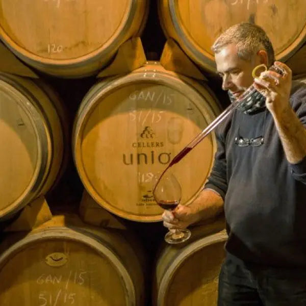 gid://shopify/MediaImage/58026432627031