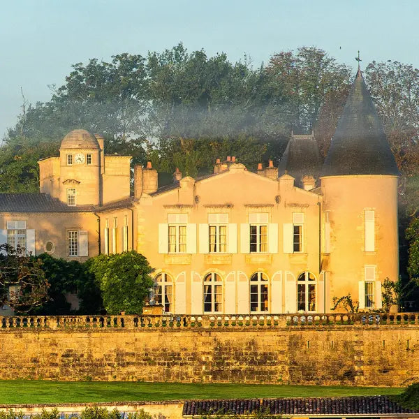 gid://shopify/MediaImage/57808304111959