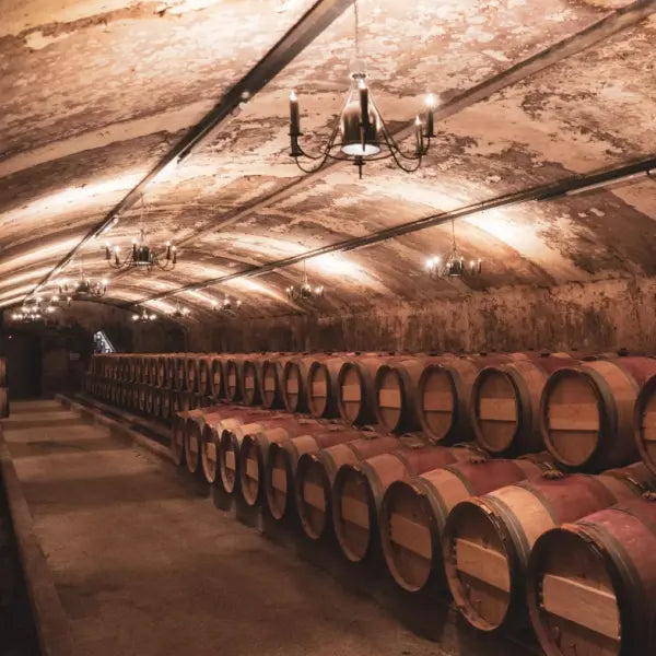 Weingut