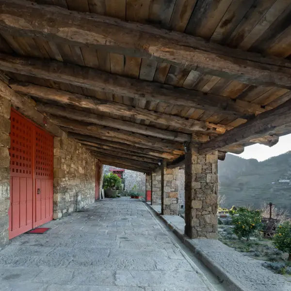 gid://shopify/MediaImage/58014582571351