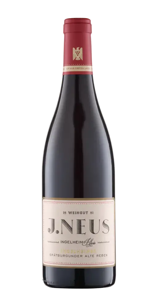 VDP. Weingut J. Neus, Spätburgunder, aus Rheinhessen mit dunklen Waldfrüchten.
