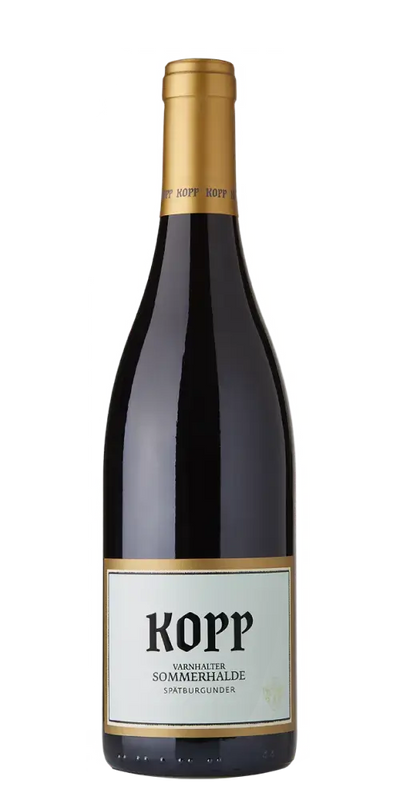 Weingut Kopp Sommerhalde Spätburgunder