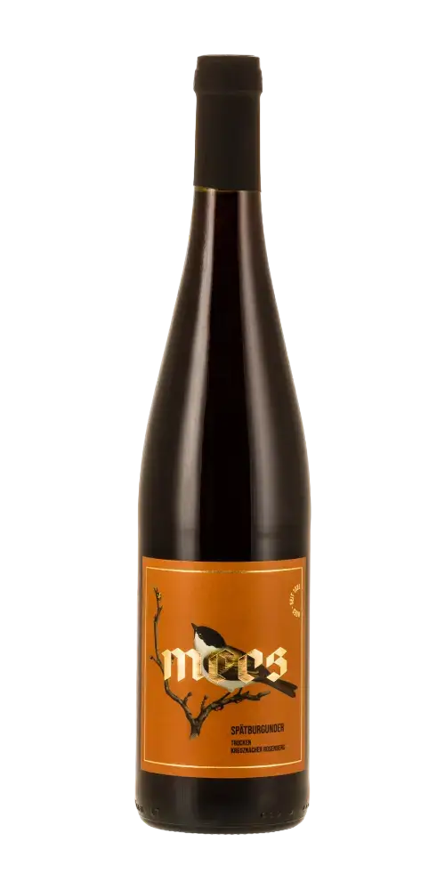 Mees Spätburgunder, deutscher Rotwein aus Nahe, elegant mit Noten von Rosine und schwarzer Pfeffer, Jahrgang 2021.