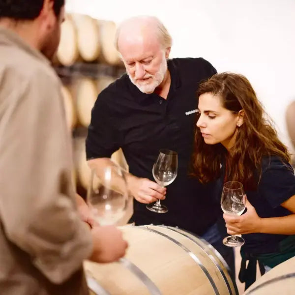 gid://shopify/MediaImage/58008641044823