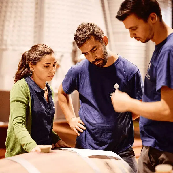 gid://shopify/MediaImage/58008647532887