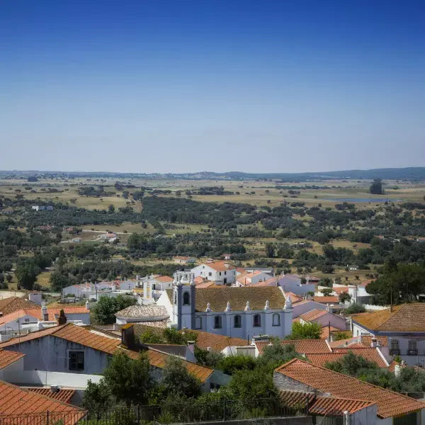 gid://shopify/MediaImage/58008645239127