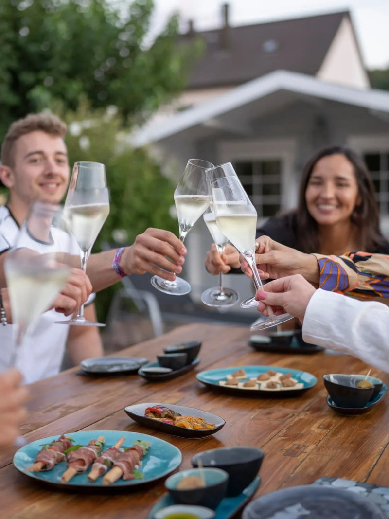 Gäste stoßen im Garten mit Sekt an