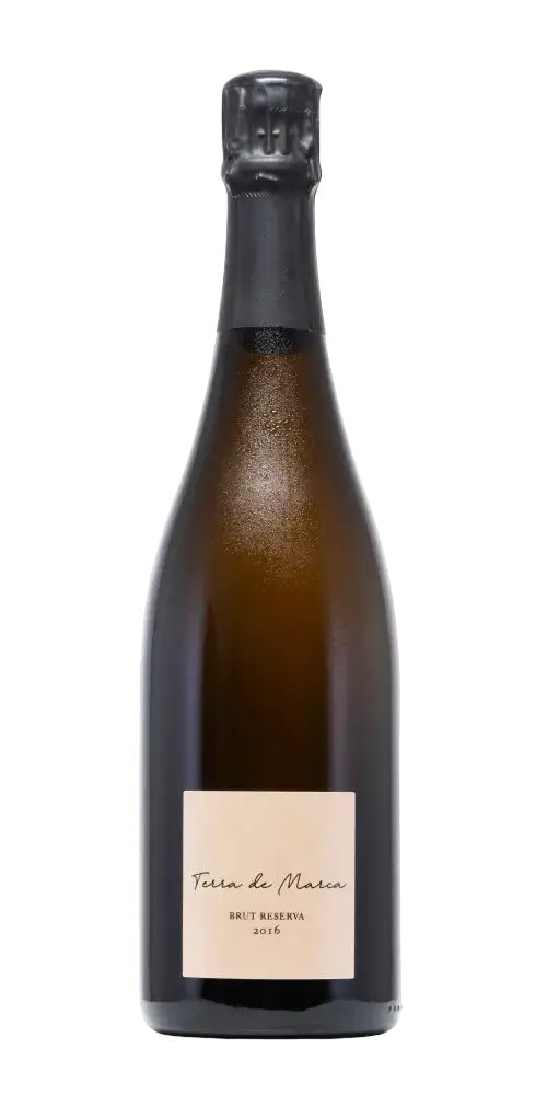 Terra de Marca Cava - Brut Riserva, spanischer Schaumwein mit Aromen von Ananas und floralen Noten, 2016 Jahrgang.