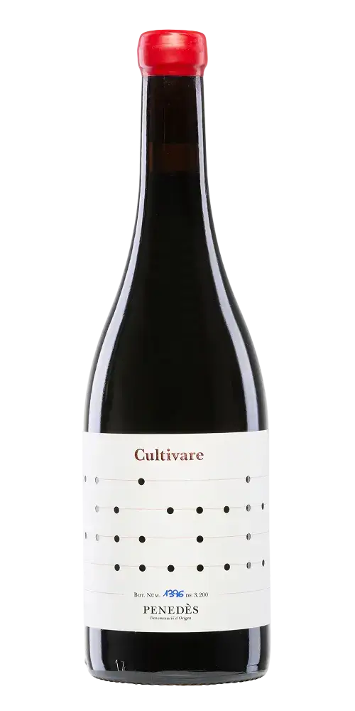 Vallformosa - Cultivare Sumoll Samsó