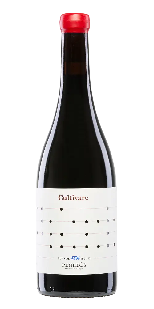 Vallformosa - Cultivare Sumoll Samsó