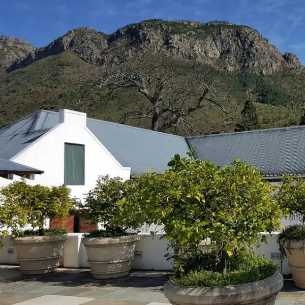 gid://shopify/MediaImage/57791062606167