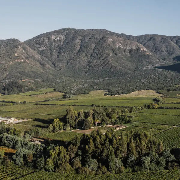 gid://shopify/MediaImage/57797460066647