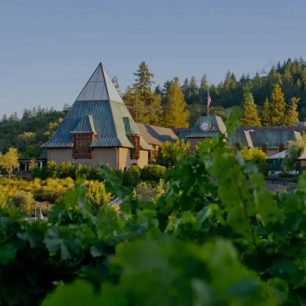 Weingut