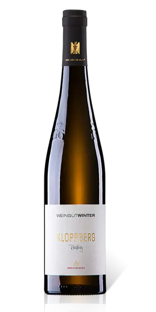 Weingut Winter - Kloppberg Riesling - VDP.Grosses Gewächs