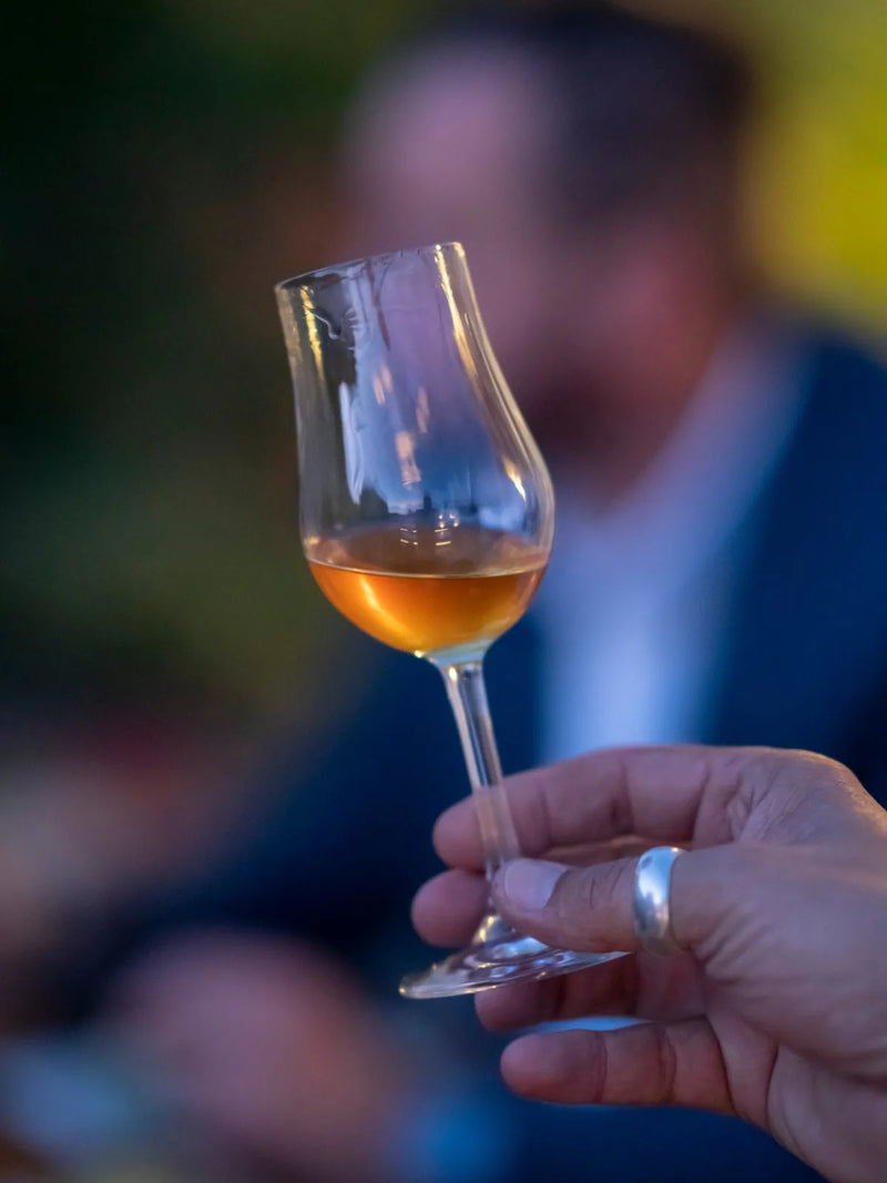 Ein Glas Whisky in der Abendstimmung