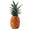 Ananas