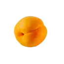 Aprikose