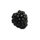 Brombeere