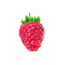 Himbeere