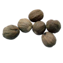 Muskatnuss