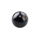 Schwarze Johannisbeere