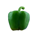 Grüne Paprika