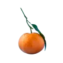 Mandarine