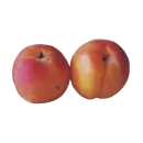 Nektarine