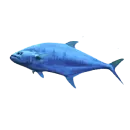Thunfisch