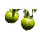 Grüne Tomaten