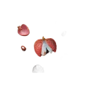Litschi
