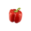 Rote Paprika