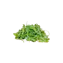 Rucola