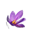 Safran