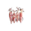 Tintenfisch